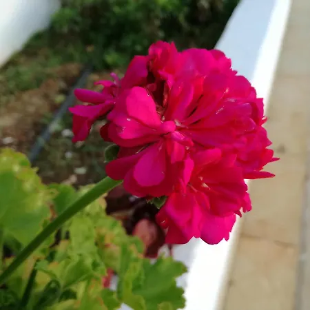 Casa Toscano 4* ラゴス