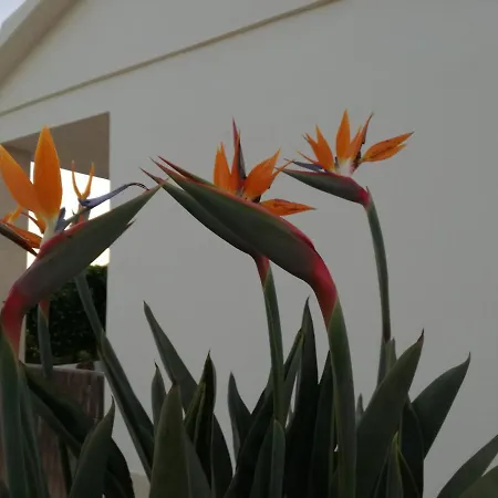 Casa Toscano Guest house Lagos