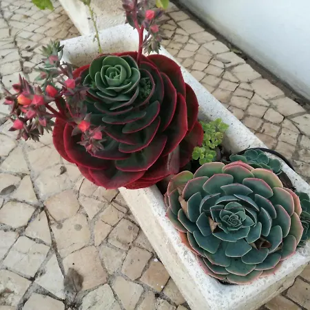 Casa Toscano Lagos